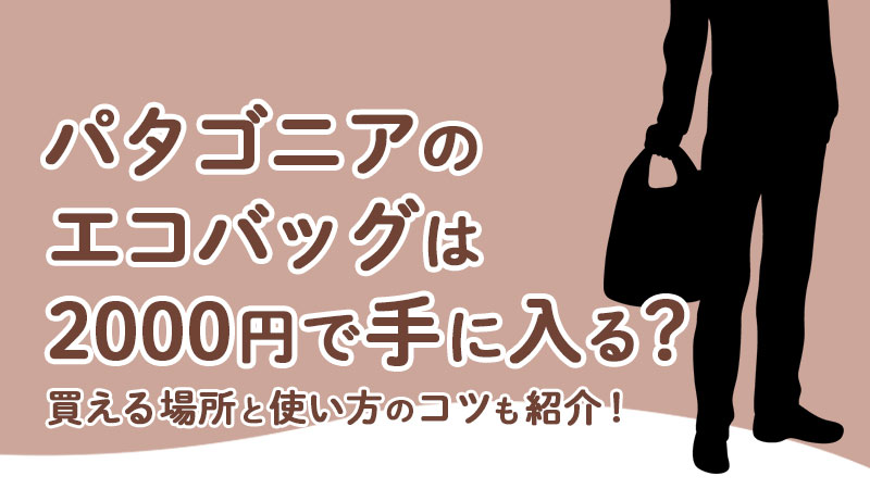 パタゴニアのエコバッグは2000円で手に入る？買える場所と使い方のコツも紹介！